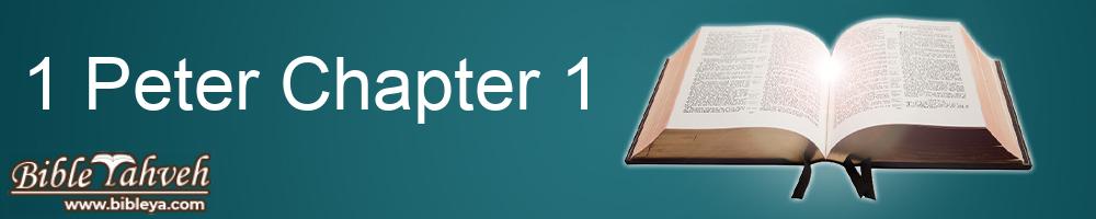 1 Peter Chapter 1 - Literal Standard Version