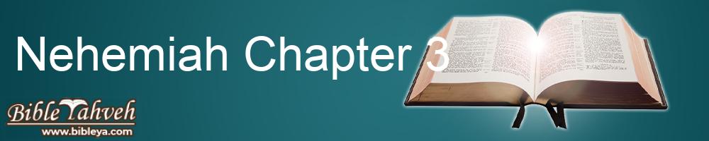 Nehemiah Chapter 3 - Literal Standard Version